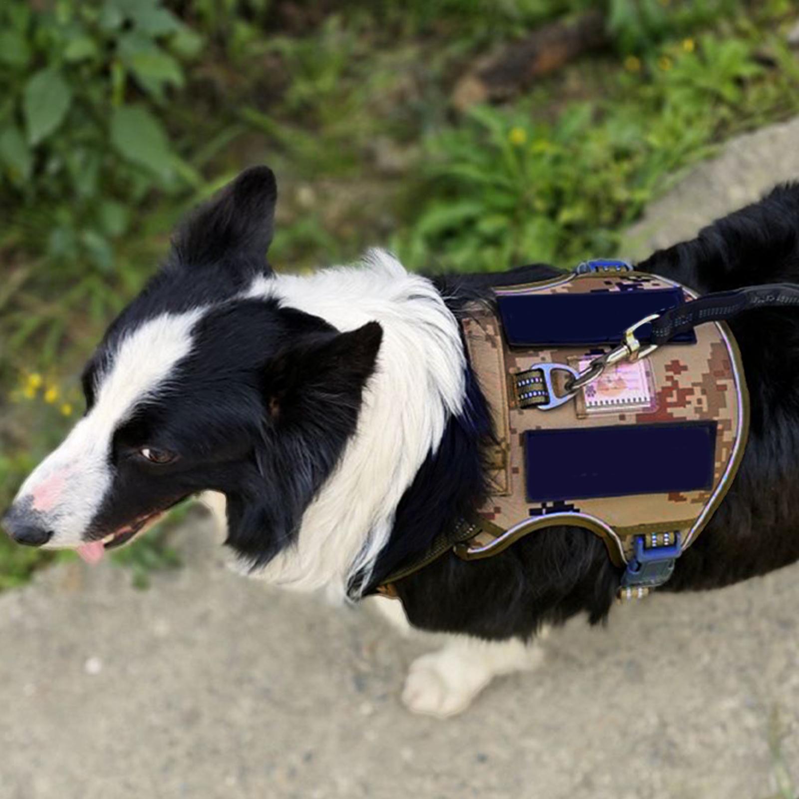 Outdoor Hunting Dog Collar - Dog Vest Harness Metal Buckle Dog