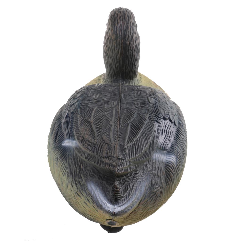 Highly Realistic Plastic Duck  - Decoy Duck Plastic review and price
