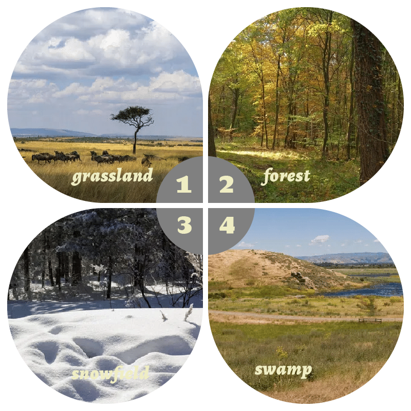 Camouflage Pop-Up Hunting Blin - Hunting & Outdoor Supplies Carterton Reviews review and price