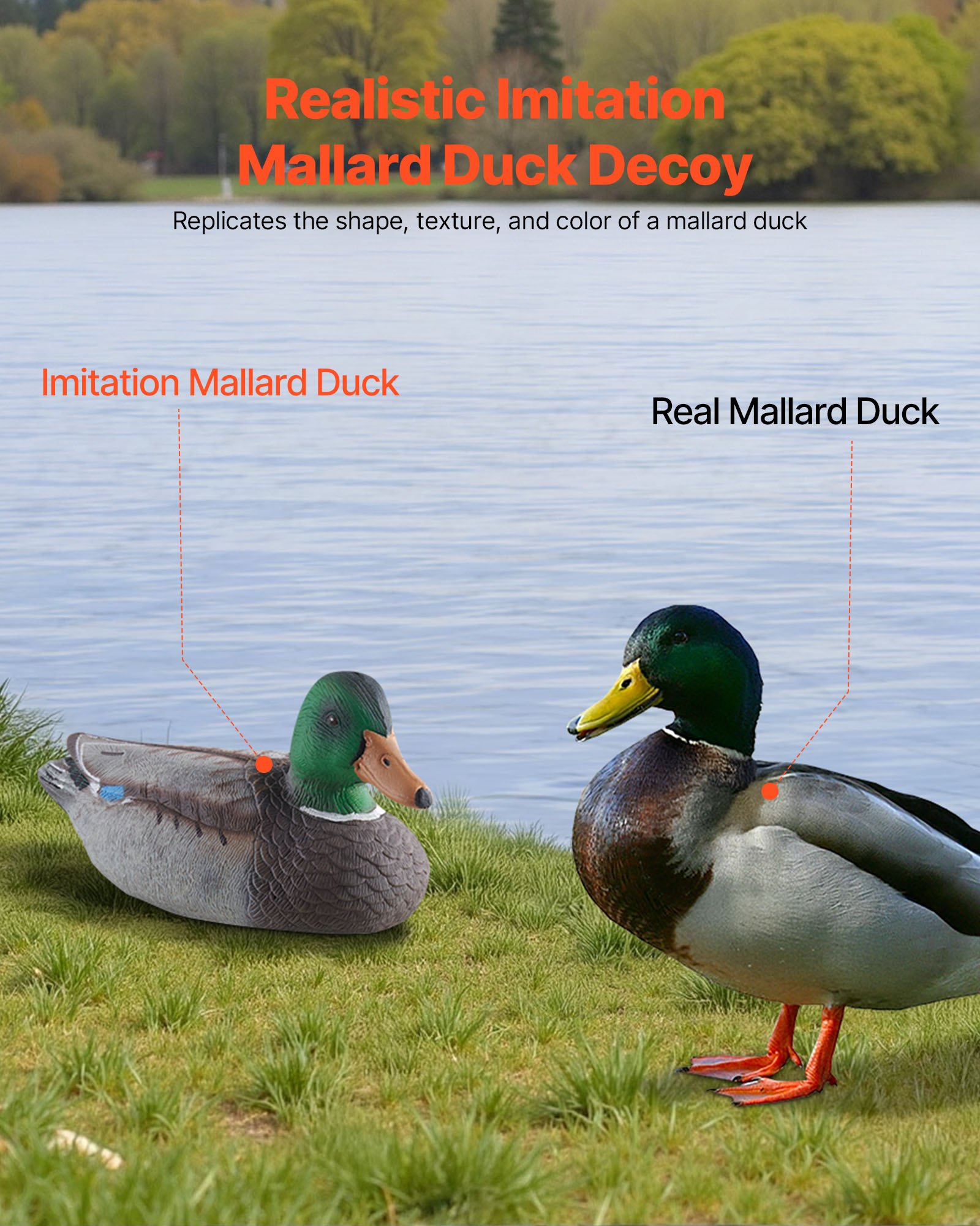 Duck Decoys, Realistic Floatin - Decoy Duck Plastic review and price