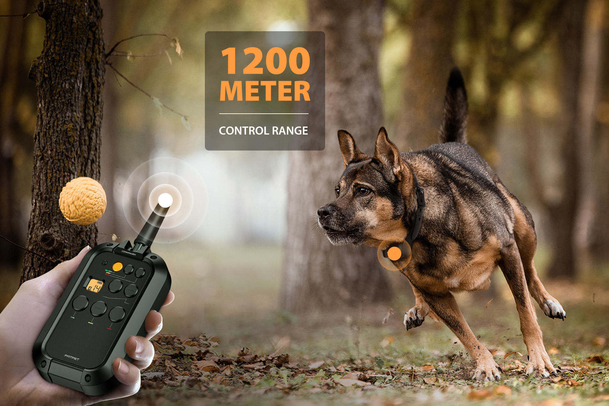 PATPET Professional Dog Traini - Outdoor Hunting Dog Collar review and price