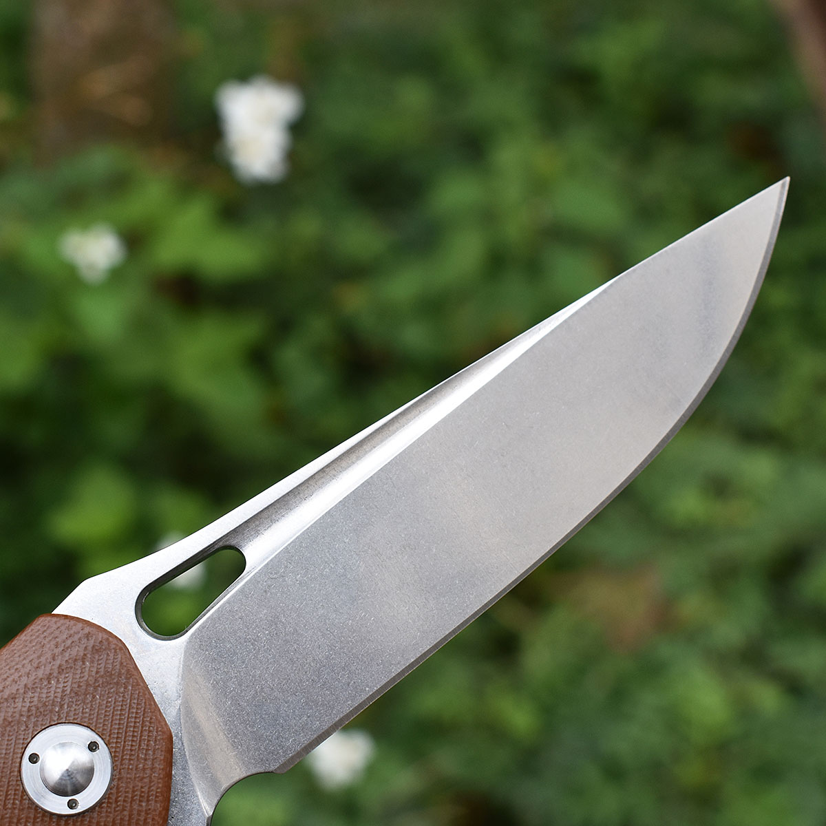 M390 Steel G10 Handle Ball Bea - Hunting And Camping In Jungle review and price