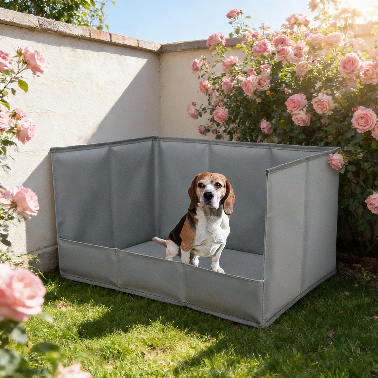 Portable Indoor Dog Potty Tray - Outdoor Hunting Toilet review and price