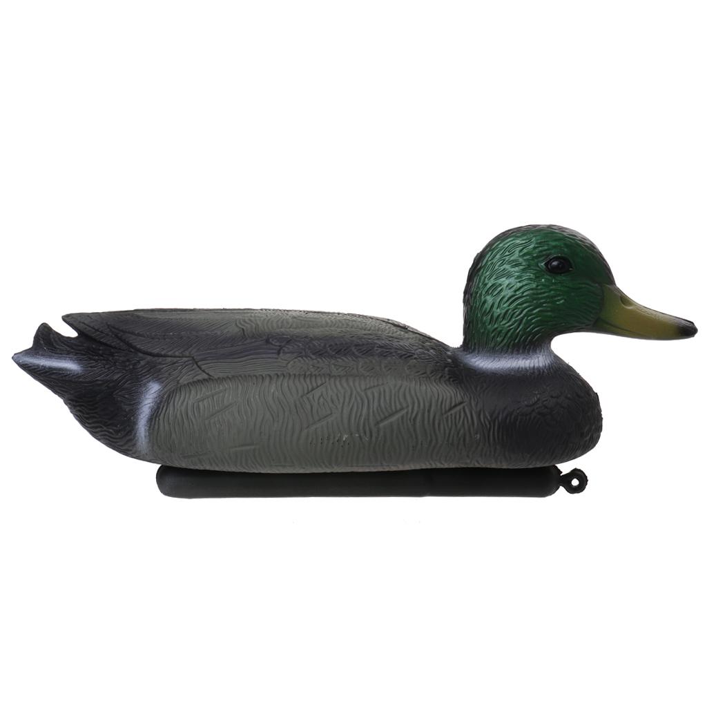 Simulation Plastic Drake Duck  - Decoy Duck Plastic review and price