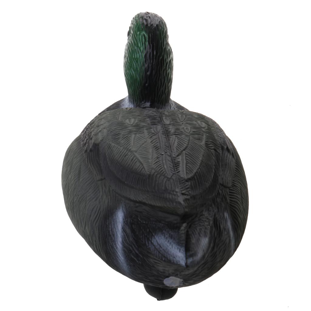 Simulation Plastic Drake Duck  - Decoy Duck Plastic review and price