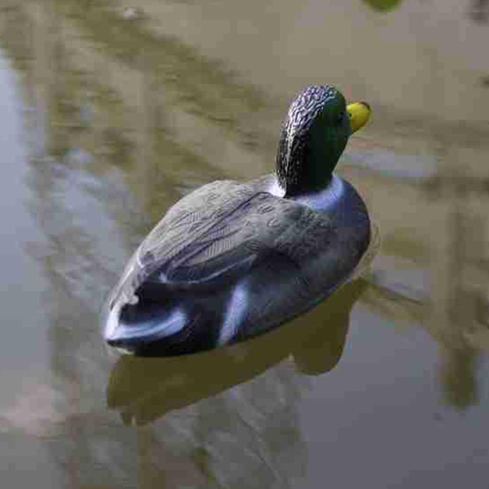 Plastic Fake Duck Duck Ornamen - Decoy Duck Plastic review and price