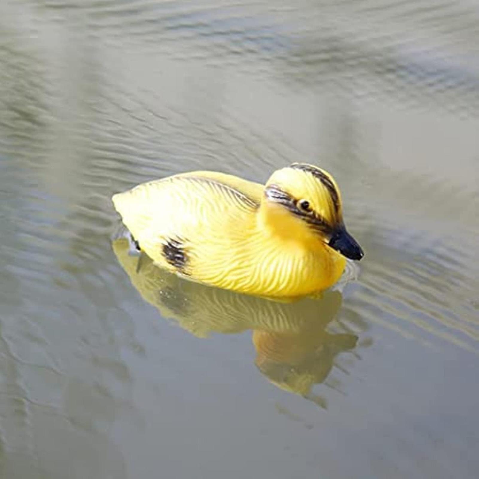 Floating Duck Decoy Cute Vivid - Decoy Duck Plastic review and price