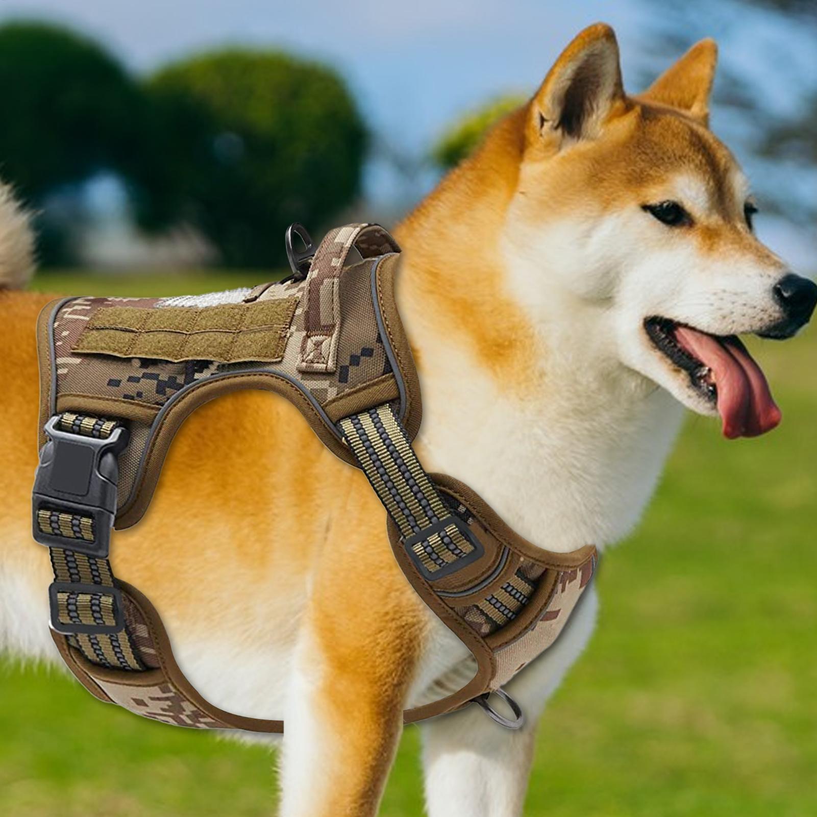 Heavy Duty Dog Harness Heavy D - Outdoor Hunting Dog Collar review and price