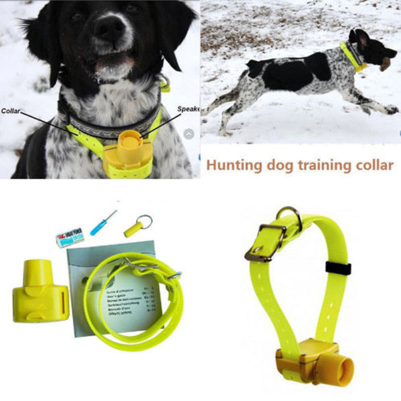 Professional Hunting Dog Beepe - Outdoor Hunting Dog Collar review and price