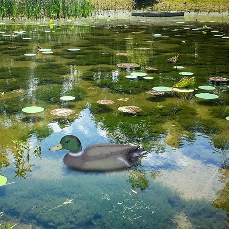 1pc Realistic Plastic Duck Hun - Decoy Duck Plastic review and price