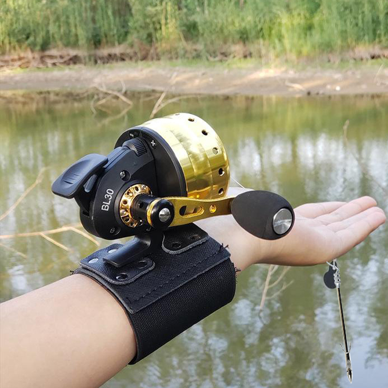 Closed Reel BL30 Fishing 4+1BB - Hunting Outdoor Gear review and price
