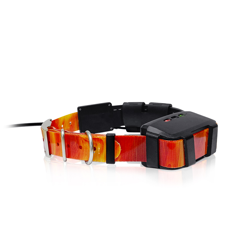 2023 Trending Product Outdoor  - Outdoor Hunting Dog Collar review and price