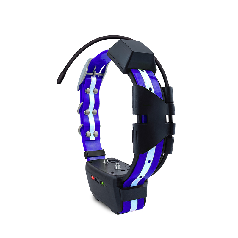 2023 Trending Product Outdoor  - Outdoor Hunting Dog Collar review and price